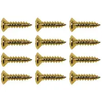 Boston TS-01-G Gouden Verzonken Schroeven voor Pickguard - 3x12mm (12 stuks)