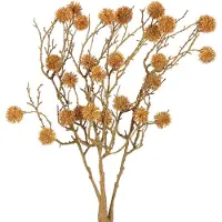 Viana Decoratieve tak van amberboom, boomvruchten, decoratief okerbruin, 48c