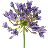Viana Agapanthus Afrikaanse Lelie Kunstbloemen Paars L75cm 2st