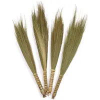 Ancient Wisdom - Droogbloemen - Pampasbezem multicolor 20 cm - decoratie - natuurlijke bloemen - interieur - bloemstuk - droogbloem