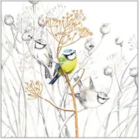 Ambiente Servetten Vogels - 20x stuks - 3 laags - 33 x 33 cm - winter thema - Pimpelmees - wegwerp servetjes