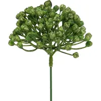 Viana Hortensia knopsteker 22cm groen 12 st