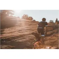 Zéfal Z Adventure R17, Zadel, Fietszak, Thermoplastisch polyurethaan (TPU), Zwart, Rood, 17 liter, 5 kg
