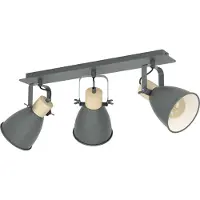 Eglo Plafondspot Coswarth