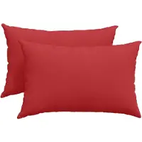 vidaXL Zitkussens 2 st Stof Rood 60 x 40 cm