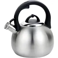Maestro Mr-1311 3.0l Theepot