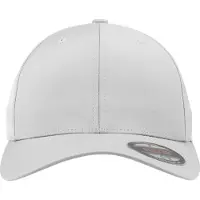 Flexfit Pet zilver