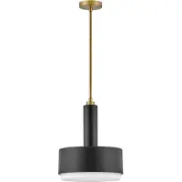 HINKLEY LED Hanglamp Cedric | 2X E27 Max 60W | Black