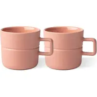 NJRD Lines mok 30 cl 2-pack roze