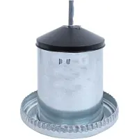 Boon Voerfontein Kip Zilver 5 Kg D 31 H 38 Cm