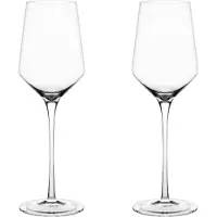 ERNST mousserende wijnglazen 2-pack 30 cl