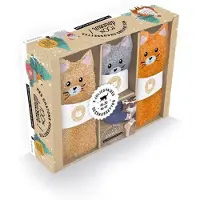 Larousse MES CHATONS-CHAUSSTTES (LIVRET + 3 PAIRES DE CHAUSSETTES)