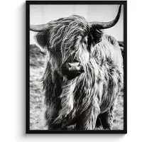 PosterMonkey Fotolijst - Poster - Schotse hooglander - Natuur - Koe - Zwart wit - Kader - 50x70 cm - Poster Schotse hooglander - Muurdecoratie - Poster met frame - Foto lijst