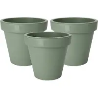 Pro Garden Plantenpot/bloempot Botanic - 3x - Tuin buiten - kunststof - donkergroen - Dia 20 cm - rond