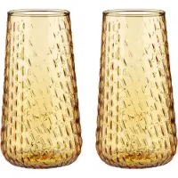 Marimekko Syksy long tumblerglas 2-pack Honing