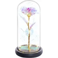 LONGZIMING -Eeuwige roze roos in glas met LED – Moederdagcadeau, verjaardagscadeau voor mama, oma, vriendinnen – Bloemengeschenk voor vrouwen