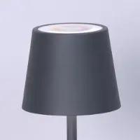 FISCHER&HONSEL GMBH Buitenlamp Bisco Outdoor Grijs