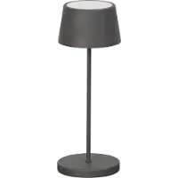 FISCHER&HONSEL GMBH Buitenlamp Asena Pro Outdoor Grijs