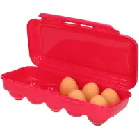 Excellent houseware Kunststof Eierdoos - houder voor eieren - 10 eieren - roze - 27 x 12,5 cm