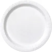 Unique - 16 witte kartonnen borden 23 cm wegwerp rond