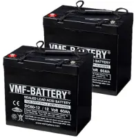 VMF 2 stuks: DC60-12 AGM Deep Cycle accu's (12V, 60 Ah, T11 terminal)