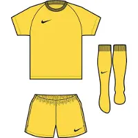 Nike Dri-FIT Park VIII Tenue Kleuters Geel Zwart