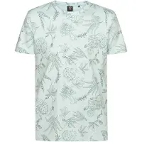 Petrol Industries Shirt mintgroen / donkergroen
