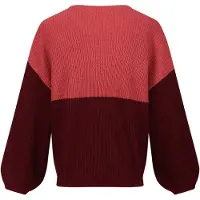 Regatta Dames/Dames Kamaria Gebreide Trui (Mineraal Rood/Cabernet)