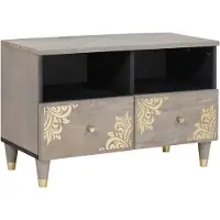vidaXL TV Kast met lade Grijs 70 x 33 x 46 cm Massief Mango Hout