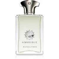 Amouage Reflection Man Eau de Parfum Spray 100 ml