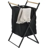Zeller Uitschuifbare wasmand , 36 x 40 x 67 cm - zwart