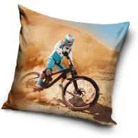 Bicycle Fiets Fietskussenhoes 40*40 cm