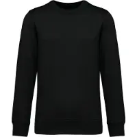 Native Spirit NS430 Ecologische uniseks sweater met ronde hals en verlaagde schouders French Terry