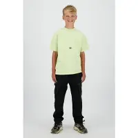 Raizzed T-shirt met backprint limegroen Jongens Katoen Ronde hals Backprint - maat 176