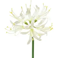 Viana Nerine Guernsey Lelie Kunstbloem Wit Geel Ø15cm L65cm