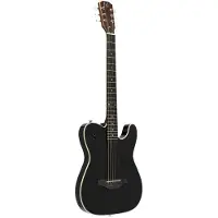 J.N Guitars EW3000CBK solid body elektrisch akoestische westerngitaar