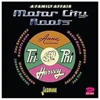 Music&Words Various Artists - A Family Affair. Motor City Roots (2 CD)