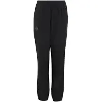Adidas Outdoor broek 'Clima365' grijs / zwart