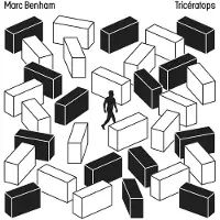 Sonic Marc Benham - Tricératops (CD)