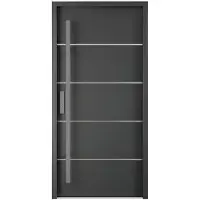 Vente-unique Stalen en RVS voordeur H207 x B100 cm antraciet - 68 cm dikte - rechtsdraaiend - LUSADA