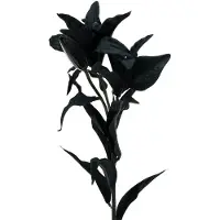 Viana Kunstbloem lelie zwart 84cm