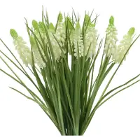 Viana Druivenhyacinten in bos wit 30cm 15 st
