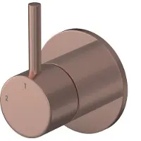 Hotbath Buddy B111EXT afbouwdeel inbouw 2-weg omstel geborsteld koper PVD
