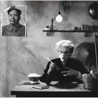Universal Music TIN DRUM/LP