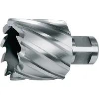 RUKO 108220 108220 Kernboor 20 mm Hooggelegeerd 1 stuk(s)