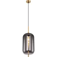 Globo Hanglamp Glas Smoke | E27 | Zwart | Glazen bol | Glas bol | Woonkamer | Eetkamer