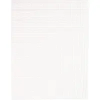 Vaessen creative Plastic Stramien - 34x26cm - Transparent - 12 stuks