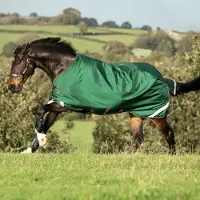 Horseware Original Turnout Lite met beenuitsparingen 100g-Green-165-221