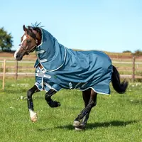 Horseware Amigo AmECO Bravo 12 Plus Turnout 100grs Outdoordeken - maat 145/198 - teal/grey