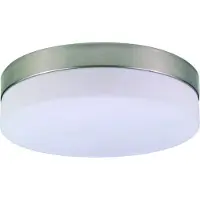 Globo Nikkel Plafondlamp Opal Ø 24cm
